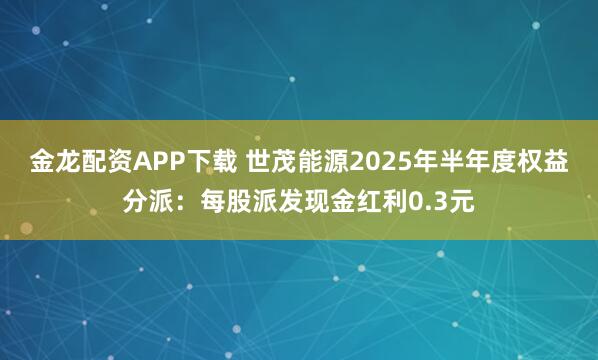 金龙配资APP下载 世茂能源2025年半年度权益分派：每股派发现金红利0.3元