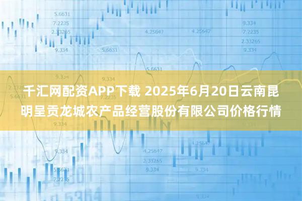 千汇网配资APP下载 2025年6月20日云南昆明呈贡龙城农产品经营股份有限公司价格行情