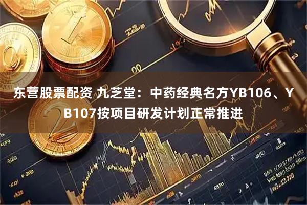 东营股票配资 九芝堂：中药经典名方YB106、YB107按项目研发计划正常推进