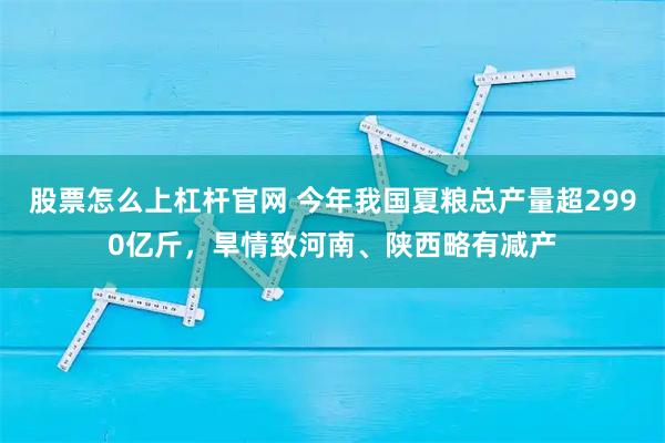 股票怎么上杠杆官网 今年我国夏粮总产量超2990亿斤，旱情致河南、陕西略有减产