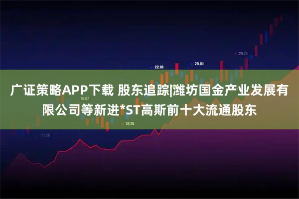 广证策略APP下载 股东追踪|潍坊国金产业发展有限公司等新进*ST高斯前十大流通股东