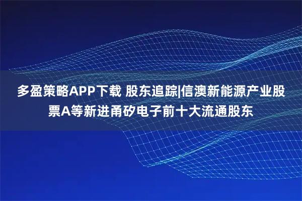 多盈策略APP下载 股东追踪|信澳新能源产业股票A等新进甬矽电子前十大流通股东